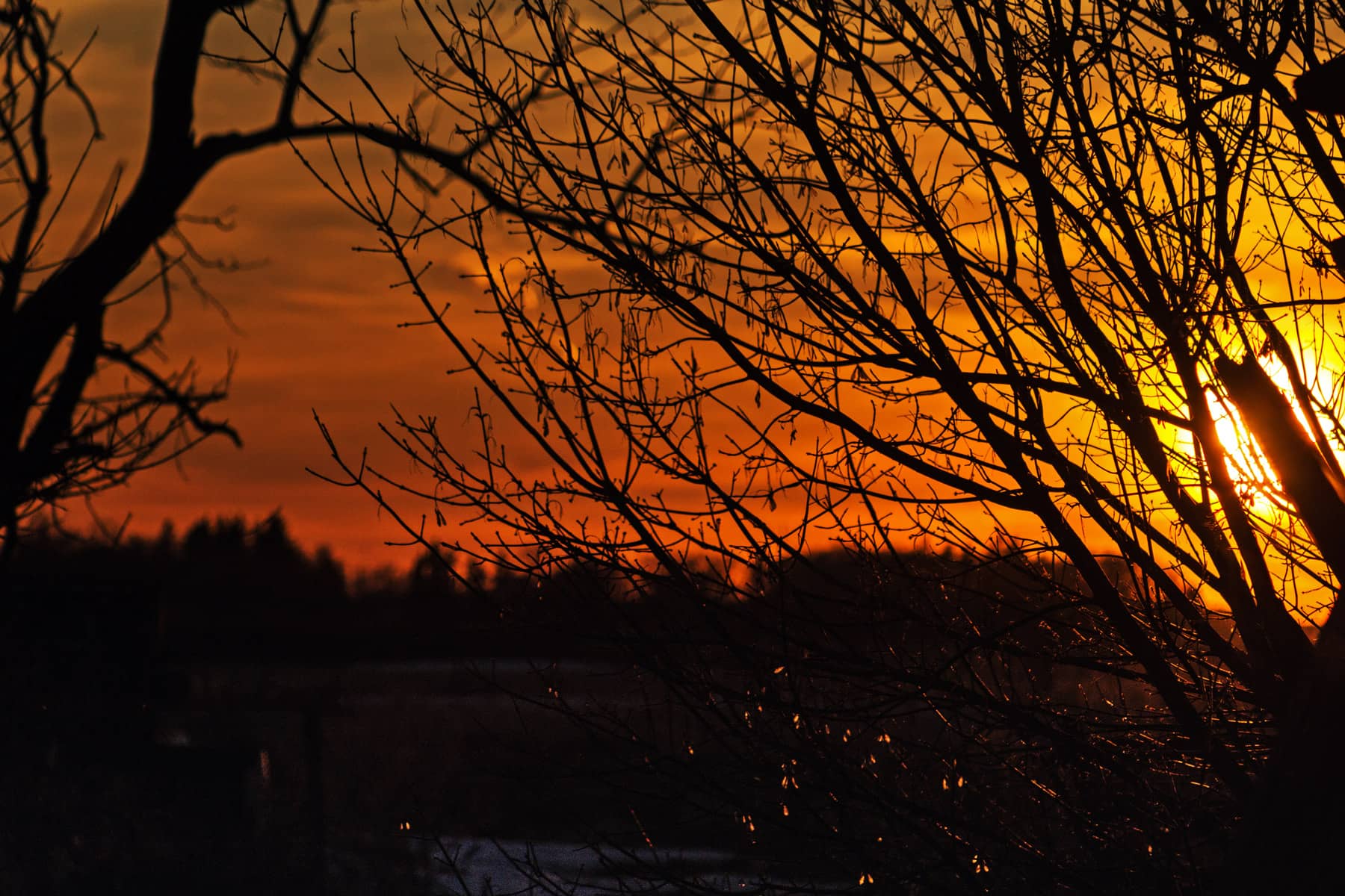 sunsetwebsite-min
