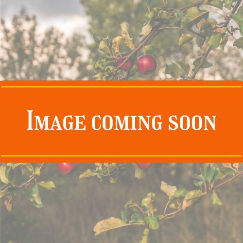 APPLES soon image