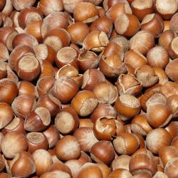 nuts