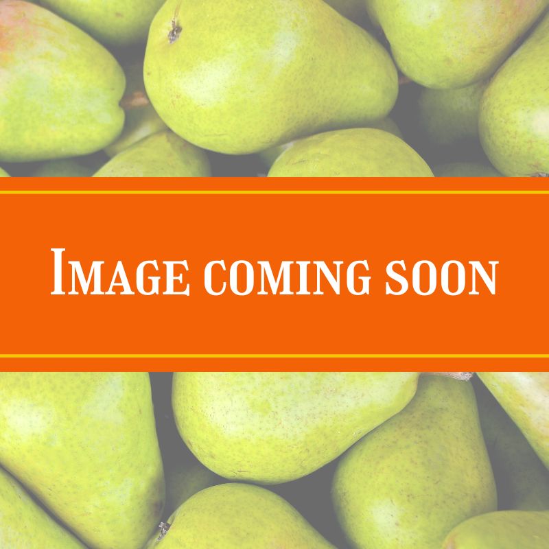 pear image coming soon pear image coming soon