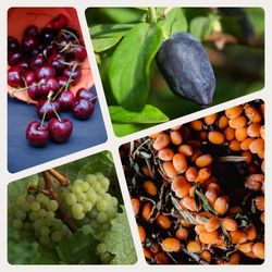 small fruit thumbnail