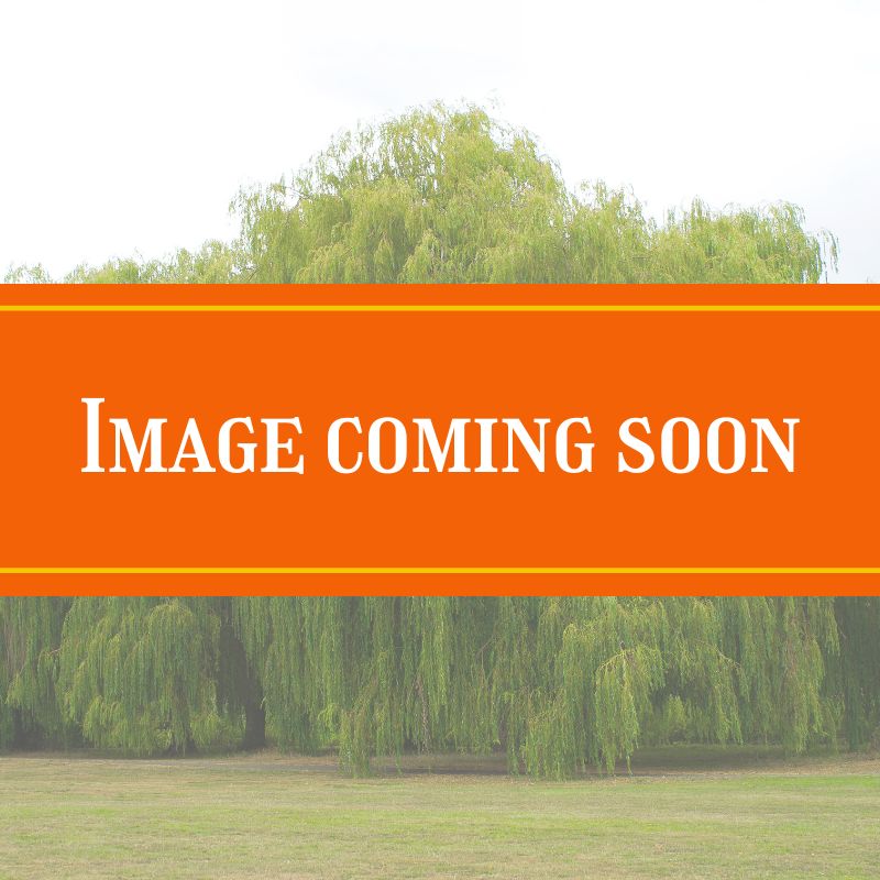 willow image coming soon